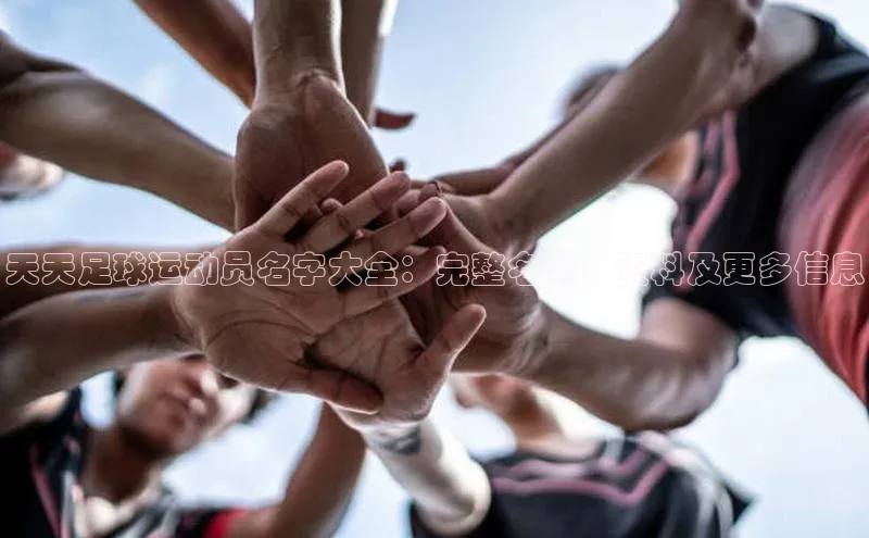 k1体育娱乐平台下载官网彩讯股份天天足球运动员名字大全：完整名单、资料及更多信息