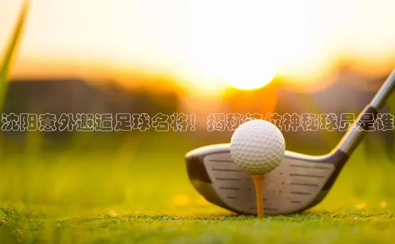 k1体育下载安装一径科技沈阳意外邂逅足球名将！揭秘这位神秘球员是谁