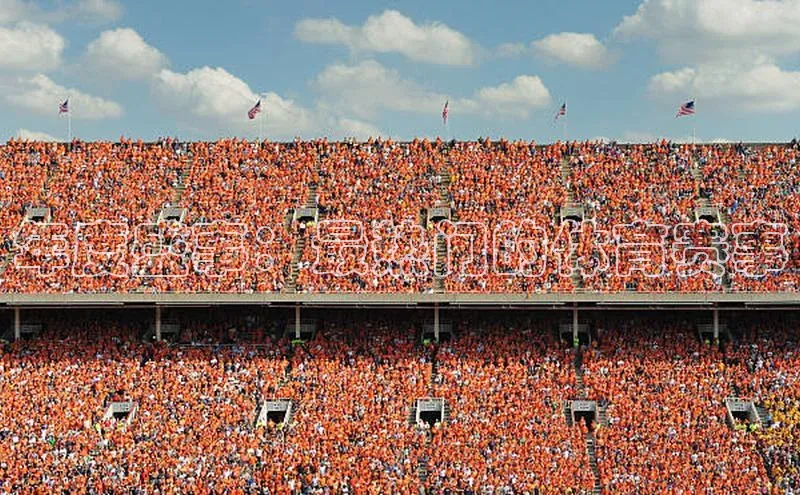 年度盛事：最热门的体育赛事