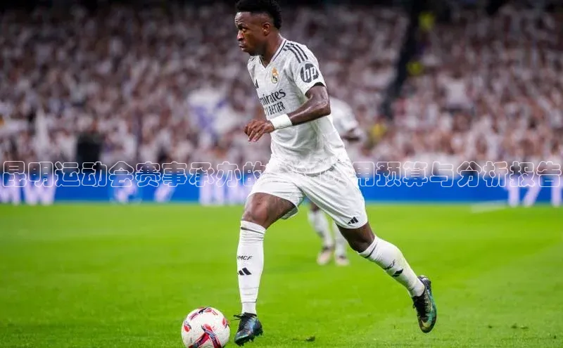 昆明运动会赛事承办的详细费用预算与分析报告