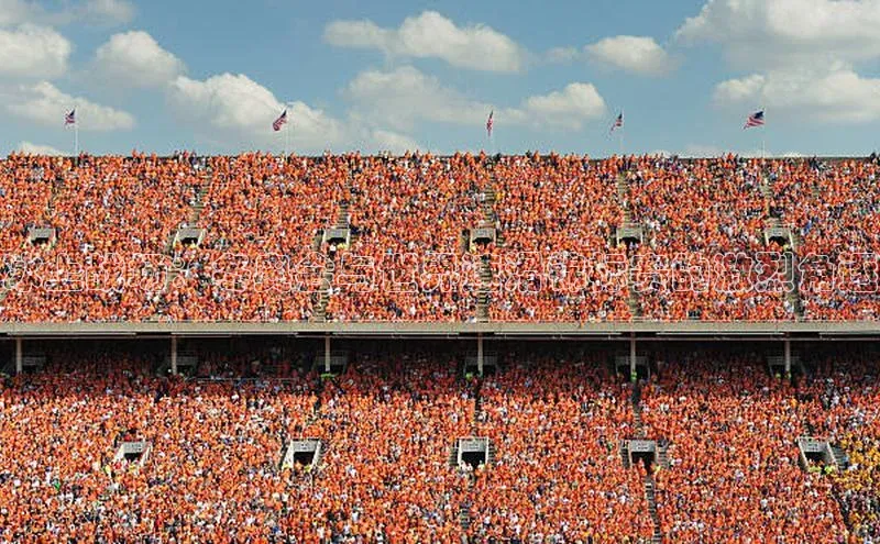 冰上战场：冬奥会与世界速滑锦标赛的激烈角逐