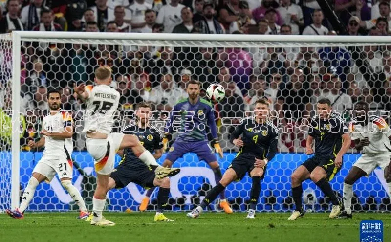 欧洲顶尖运动赛事：一项详尽的指南