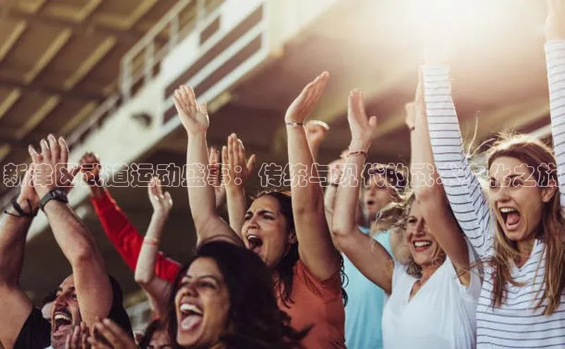 新津区武道运动盛事：传统与现代的武术文化之旅