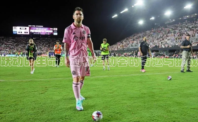 跃动的生命：动物运动会的奇迹与挑战