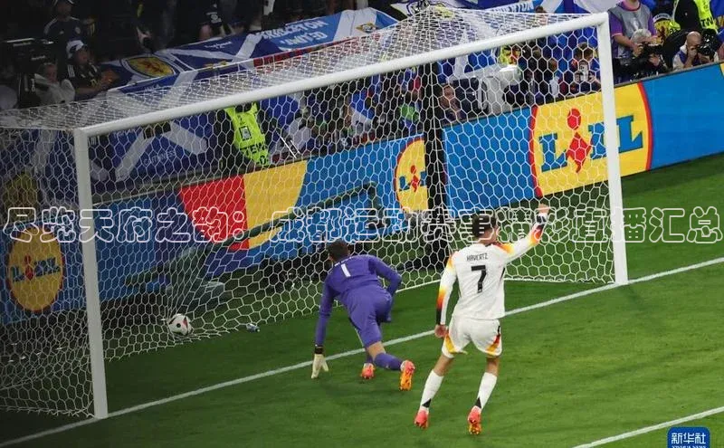 尽览天府之韵：成都运动赛事精彩直播汇总