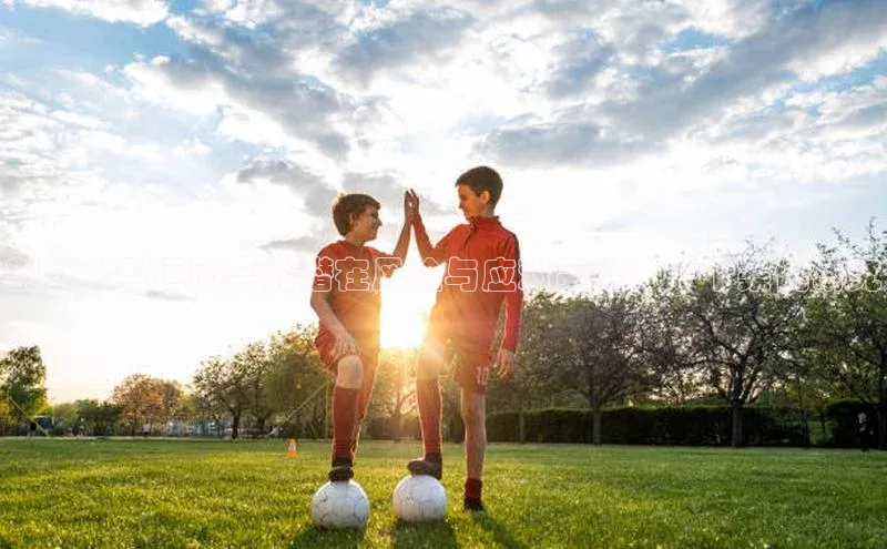 剖析大型运动会的潜在风险与应对策略：一个案例研究