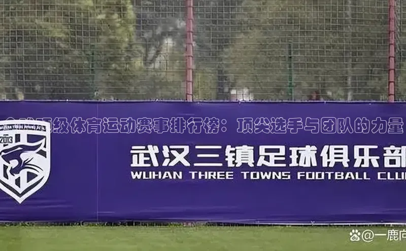 全球顶级体育运动赛事排行榜：顶尖选手与团队的力量