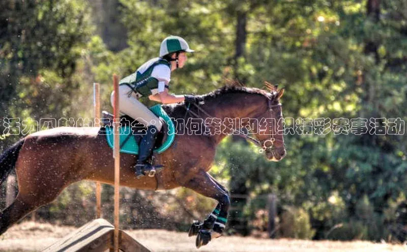 活力四射的运动会：如何策划和组织精彩赛事活动