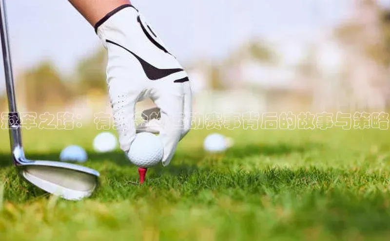 冠军之路：有奖金的运动赛事背后的故事与策略