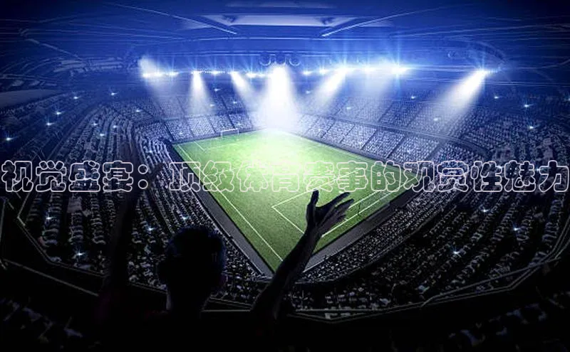 视觉盛宴：顶级体育赛事的观赏性魅力