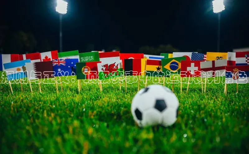 规则与正义：顶级赛事中的运动裁判角色