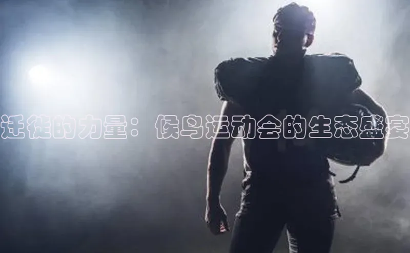 迁徙的力量：候鸟运动会的生态盛宴