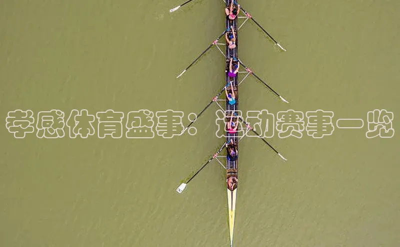 孝感体育盛事：运动赛事一览